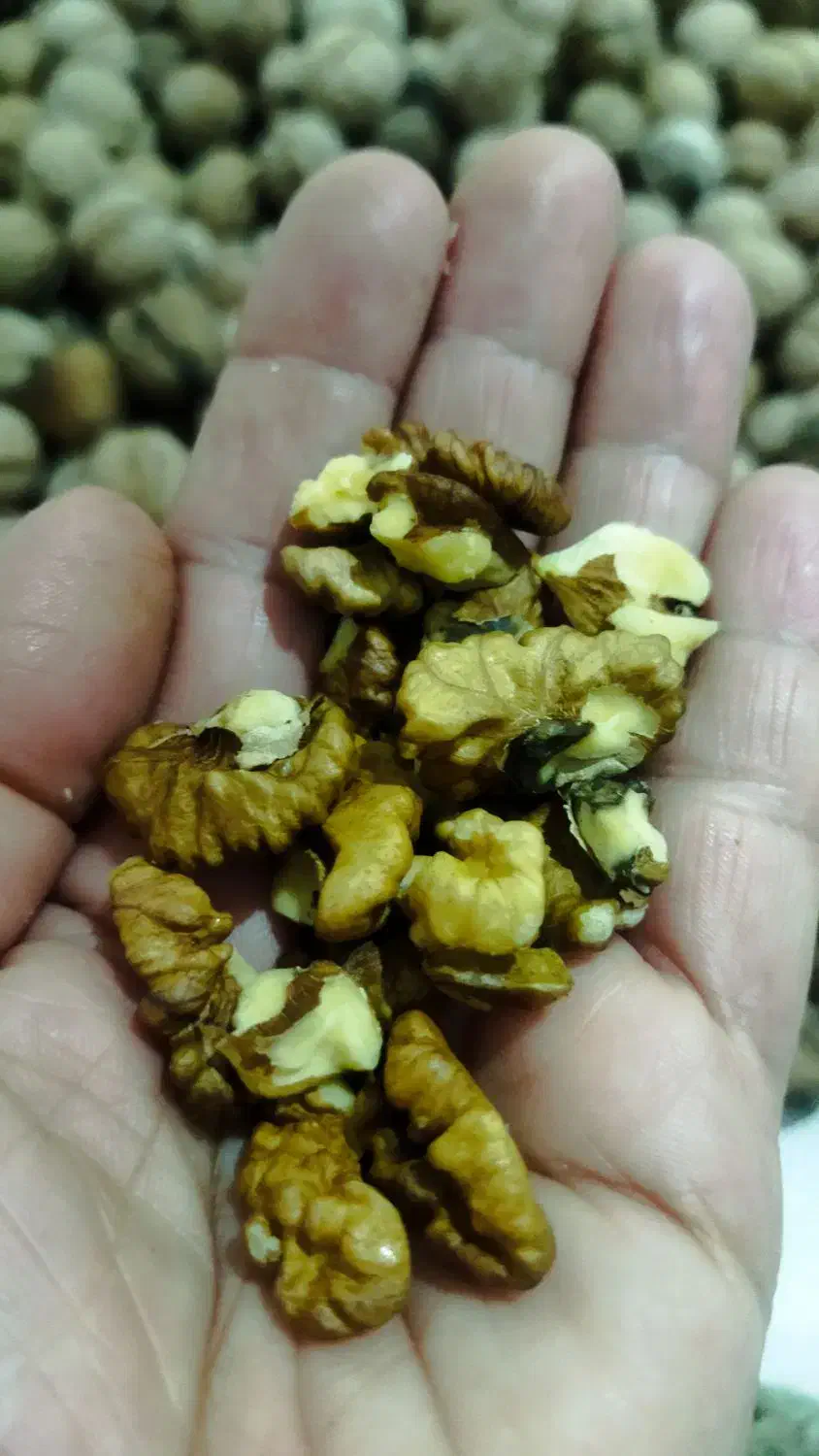 گردو سراب کرند موجوداست|خوردنی و آشامیدنی|دالاهو, |دیوار