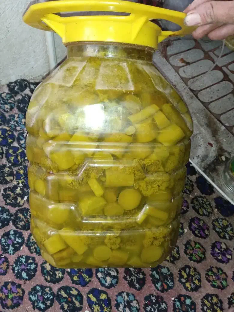 ترشی|عمدهفروشی|سیسخت, |دیوار