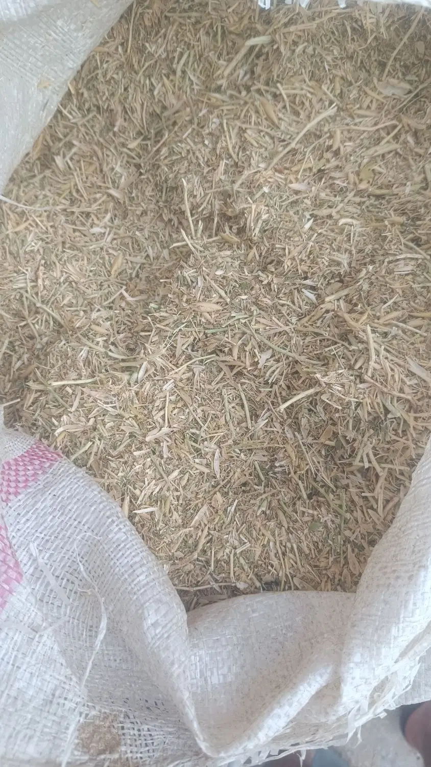 کاه|عمده‌فروشی|اندیمشک, |دیوار