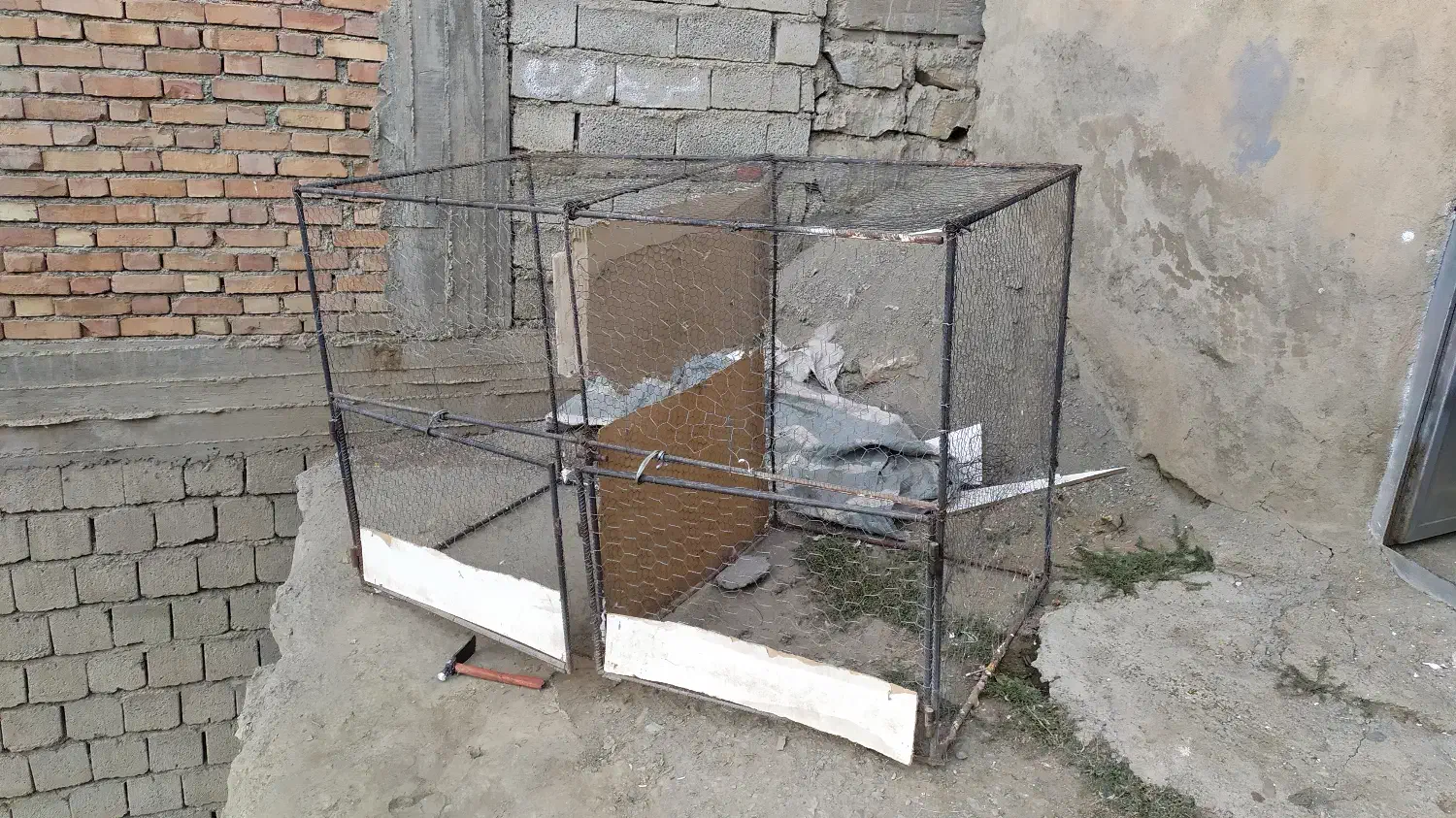 قفس مرغ و خروس /کبوتر|لوازم جانبی حیوانات|سردشت, |دیوار