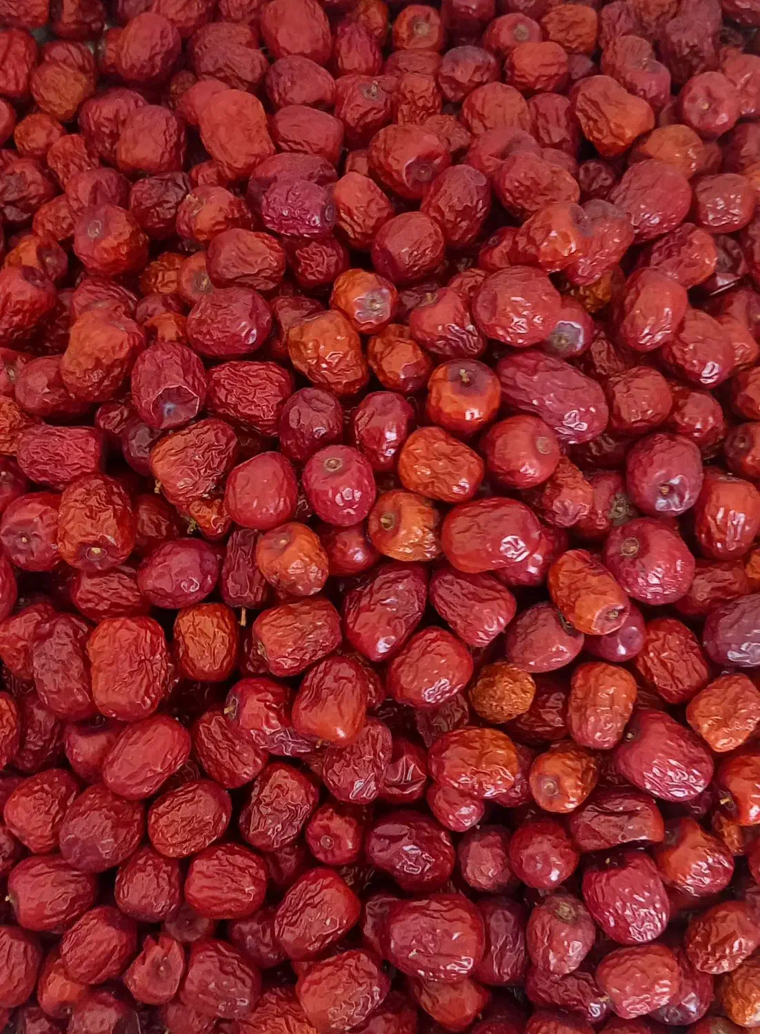 فروش عناب|خوردنی و آشامیدنی|شیراز, مهدی‌آباد|دیوار