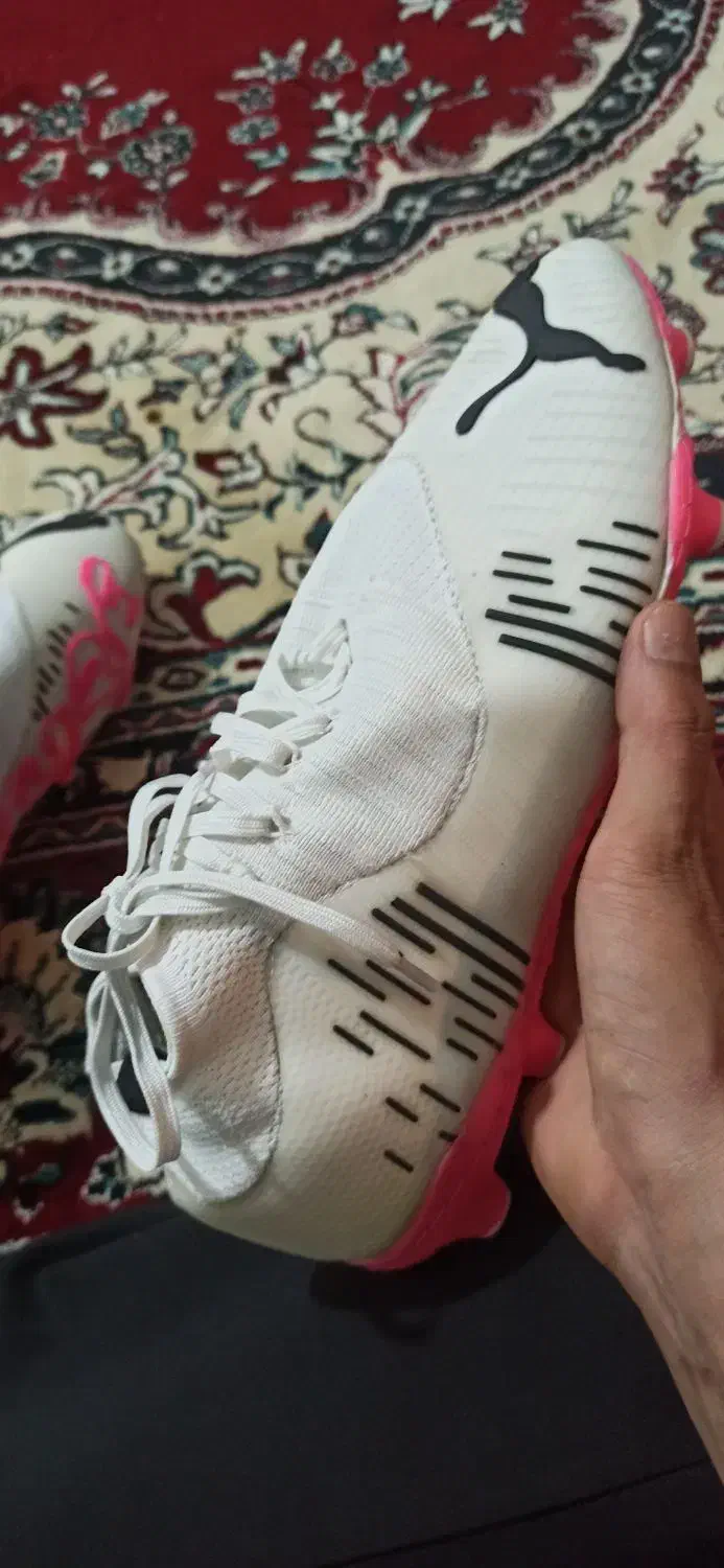 کفش چمن|تجهیزات ورزشی|محمدیه-قزوین, |دیوار