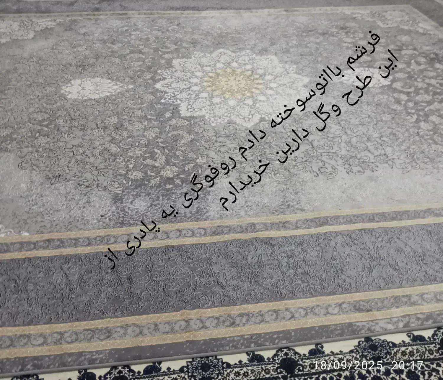 فرش وپادری|فرش|زاهدان, |دیوار