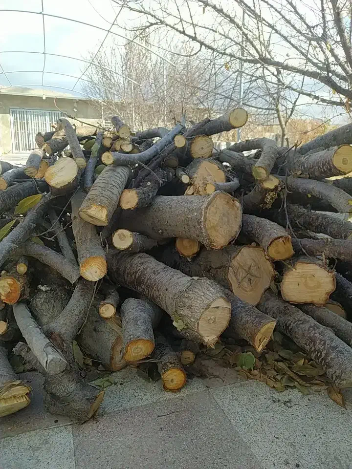 خرید چوب باغی و هرس درختان میوه|خدمات باغبانی و درختکاری|فلاورجان, |دیوار