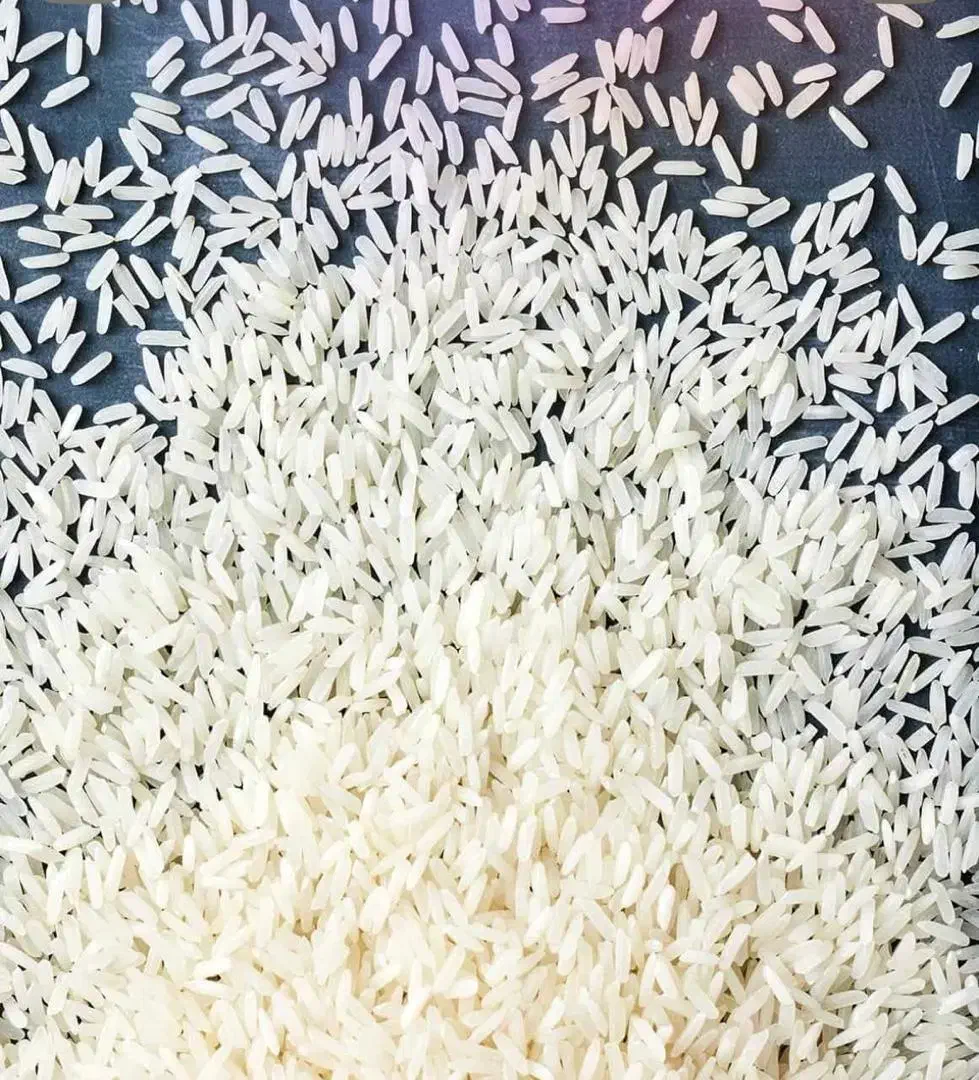 برنج طارم هاشمی فریدونکنار درجه 1|خوردنی و آشامیدنی|فریدون‌کنار, |دیوار