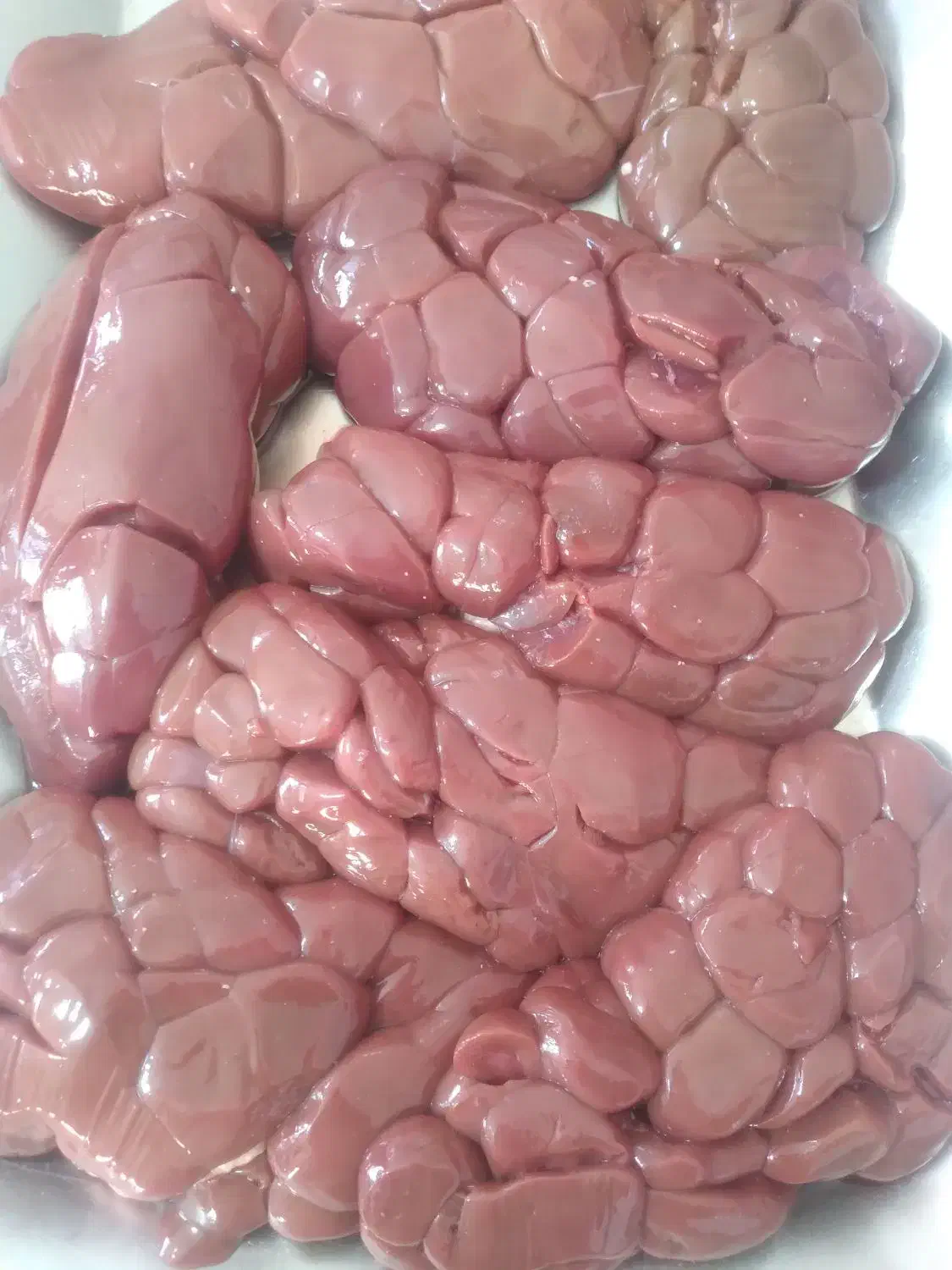 الایش گوساله و گوسفندی به  صورت عمده|عمدهفروشی|قرچک, قشلاق جیتو|دیوار