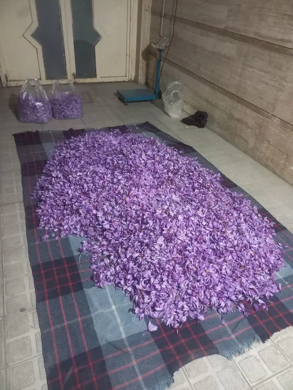 گل تازه خشک عیار بالا|خوردنی و آشامیدنی|مشهد, رضاییه|دیوار