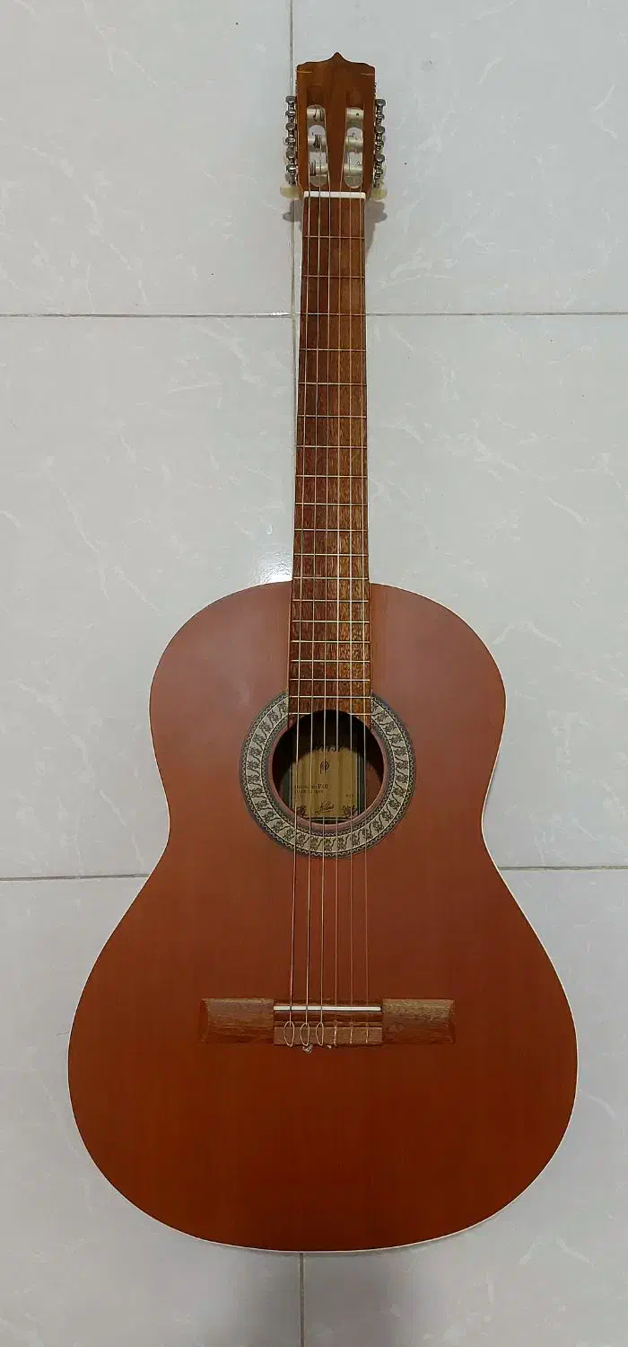 گیتار پارسی|گیتار، بیس، امپلیفایر|شیراز, گویم|دیوار