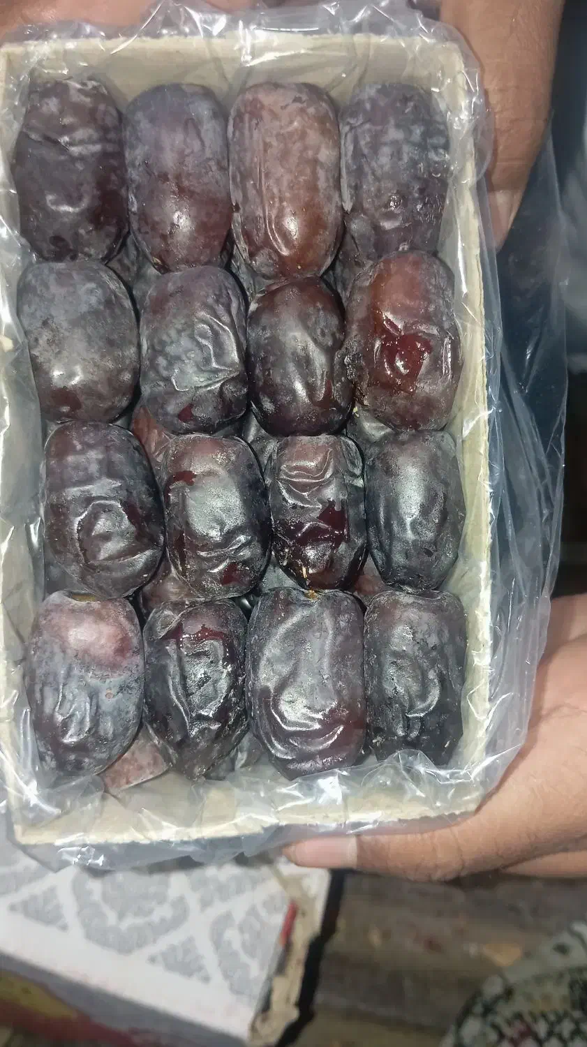 خرما بلوچستان|خوردنی و آشامیدنی|مشهد, کوشش|دیوار