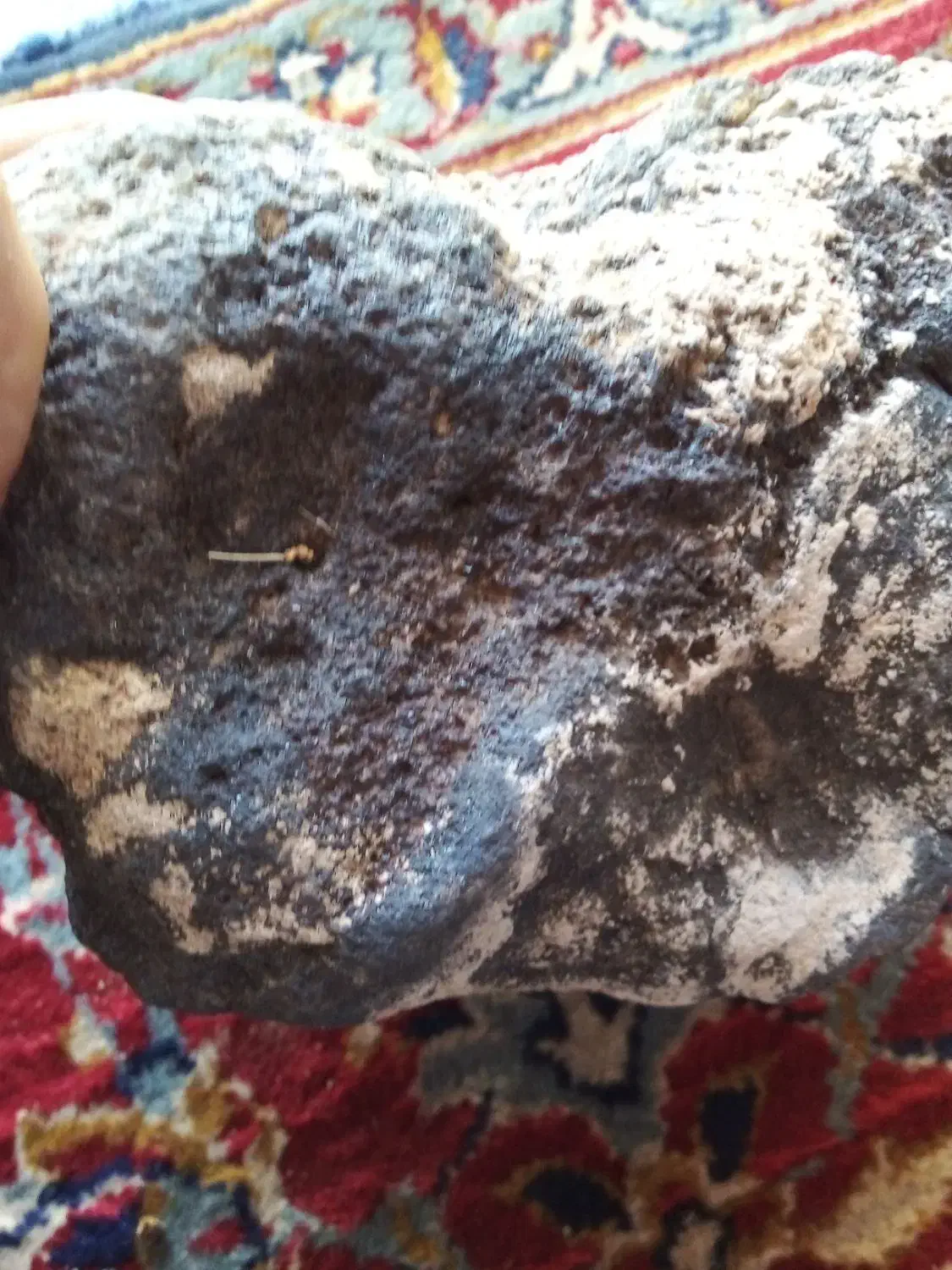 سنگ|کلکسیون اشیاء عتیقه|بستان آباد, |دیوار