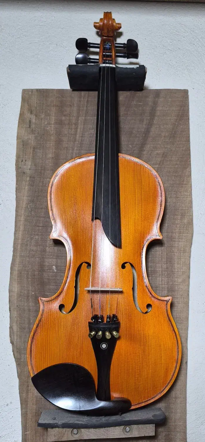 ویلن دست ساز|ویولن|شیراز, درکی|دیوار