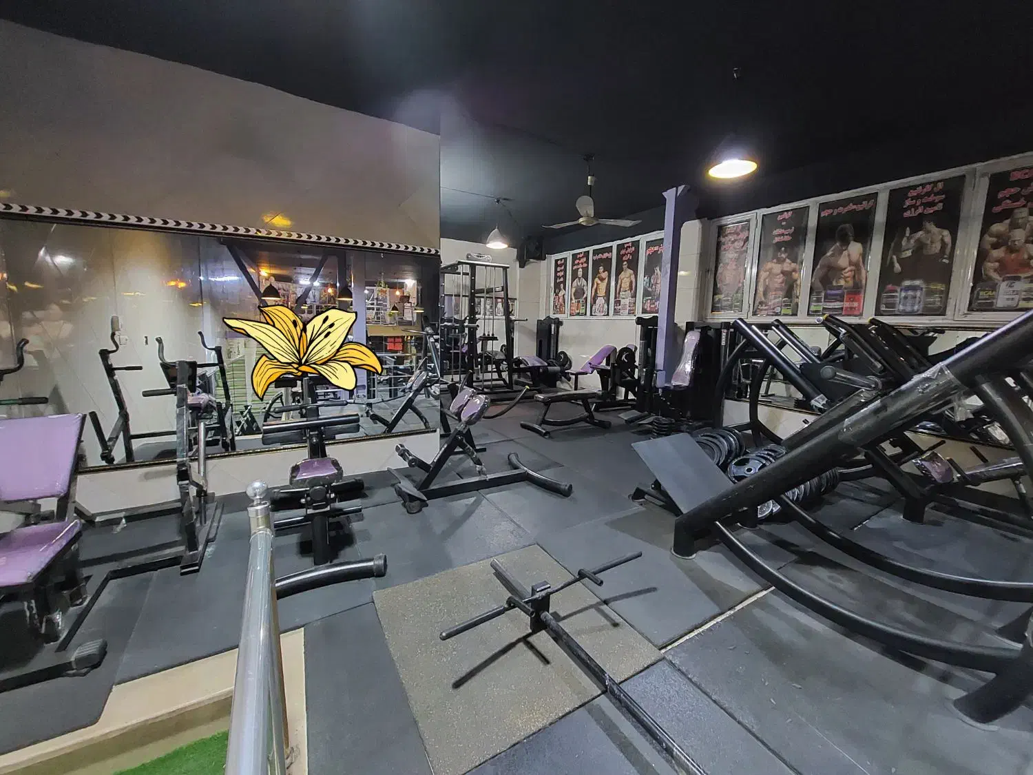 باشگاه بدنسازی|تجهیزات ورزشی|قم, شهرک امام حسین|دیوار