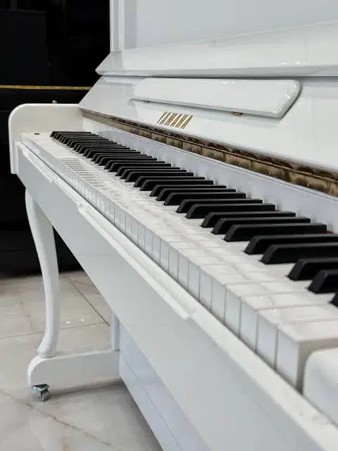 آموزش موسیقی ( خوانندگی ، نوازندگی ، آهنگسازی)|خدمات آموزشی|چناران, |دیوار