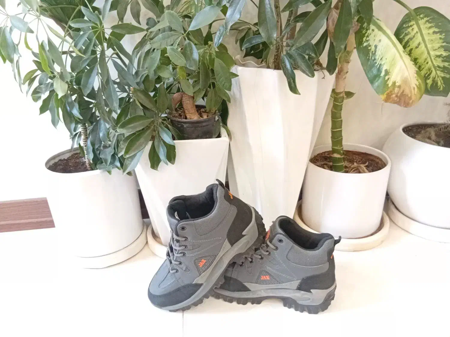 کوچک شده است|کیف، کفش، کمربند|همدان, |دیوار