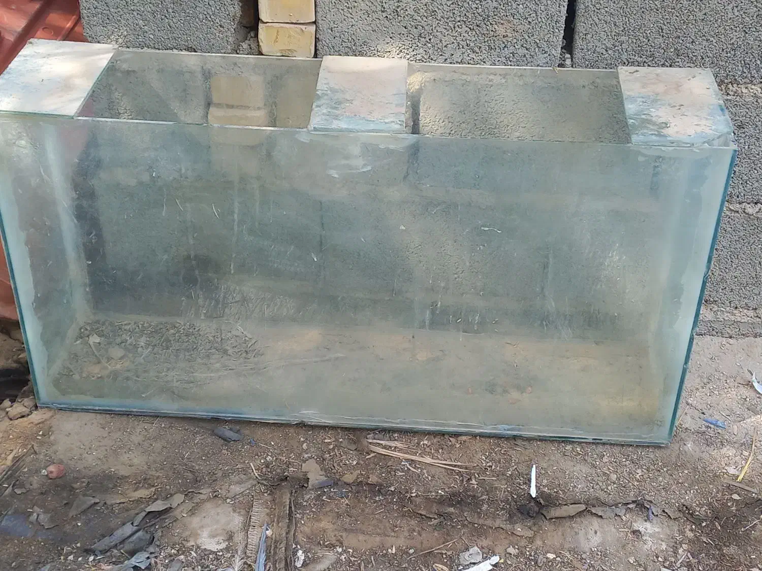 آکواریوم|ماهی|چمران, |دیوار