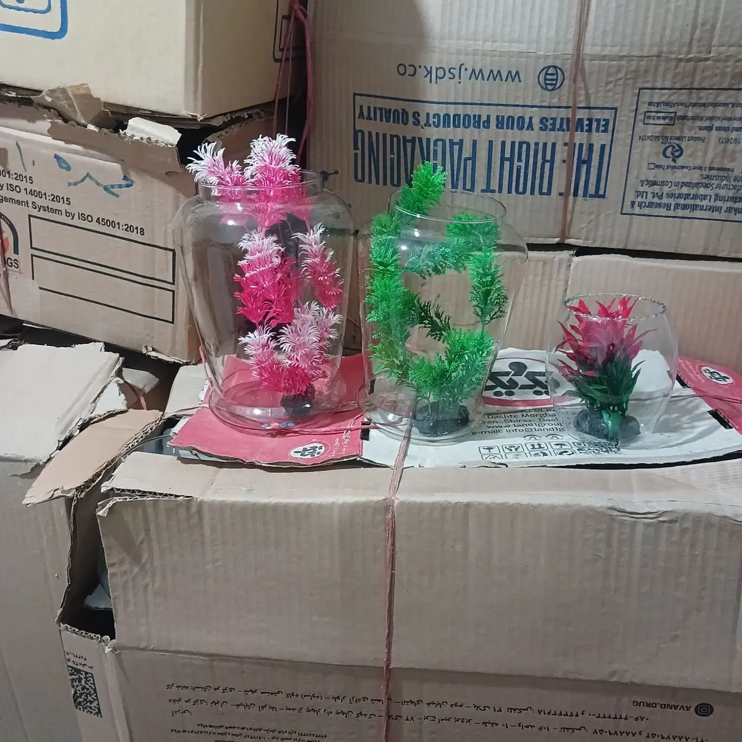 تنگ ماهی|ماهی|محمدشهر, یزدیها|دیوار