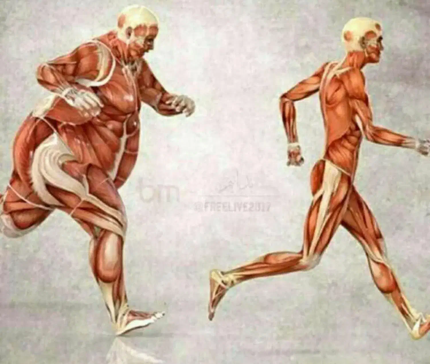 مشاوره وفروش محصولات اصل وتضمینی|آرایشی، بهداشتی، درمانی|بندر ماهشهر, |دیوار