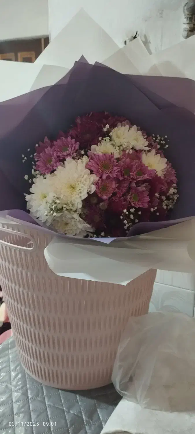 گل طبیعی|گل و گیاه طبیعی|مشهد, مصلی (کارمندان اول)|دیوار