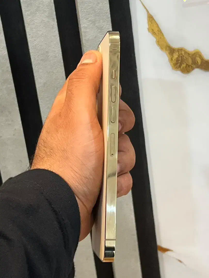 ایفون13پرومکس|موبایل|شوش, |دیوار