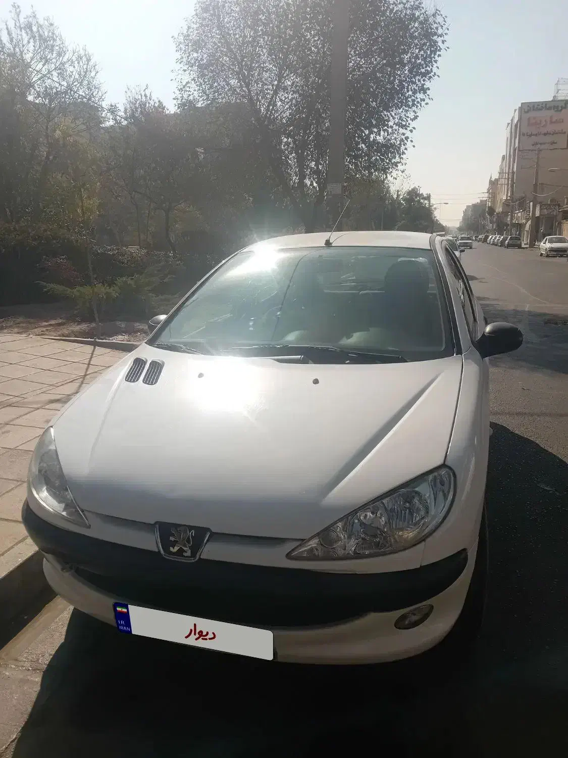 ۲۰۶ مدل ۱۴۰۱|خودرو سواری و وانت|فردیس, شهرک شهید حسینی|دیوار