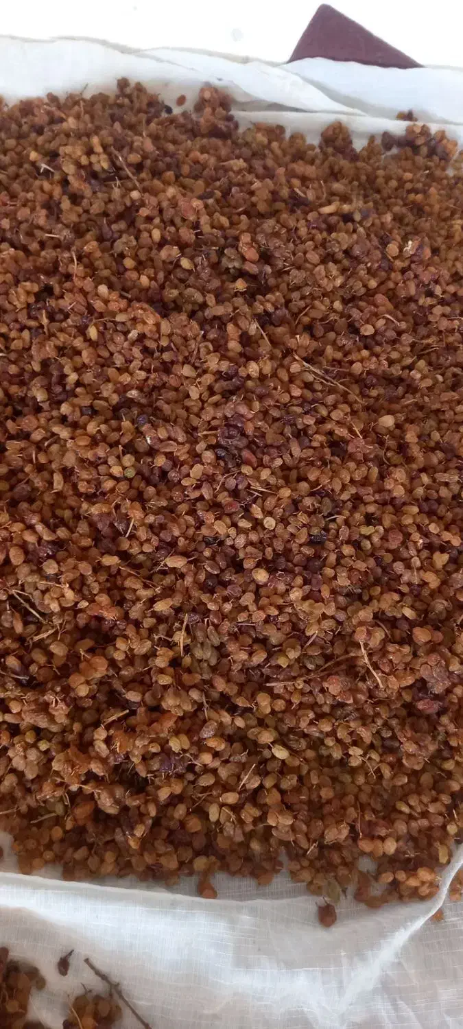 کشمش 280000|خوردنی و آشامیدنی|بومهن, |دیوار