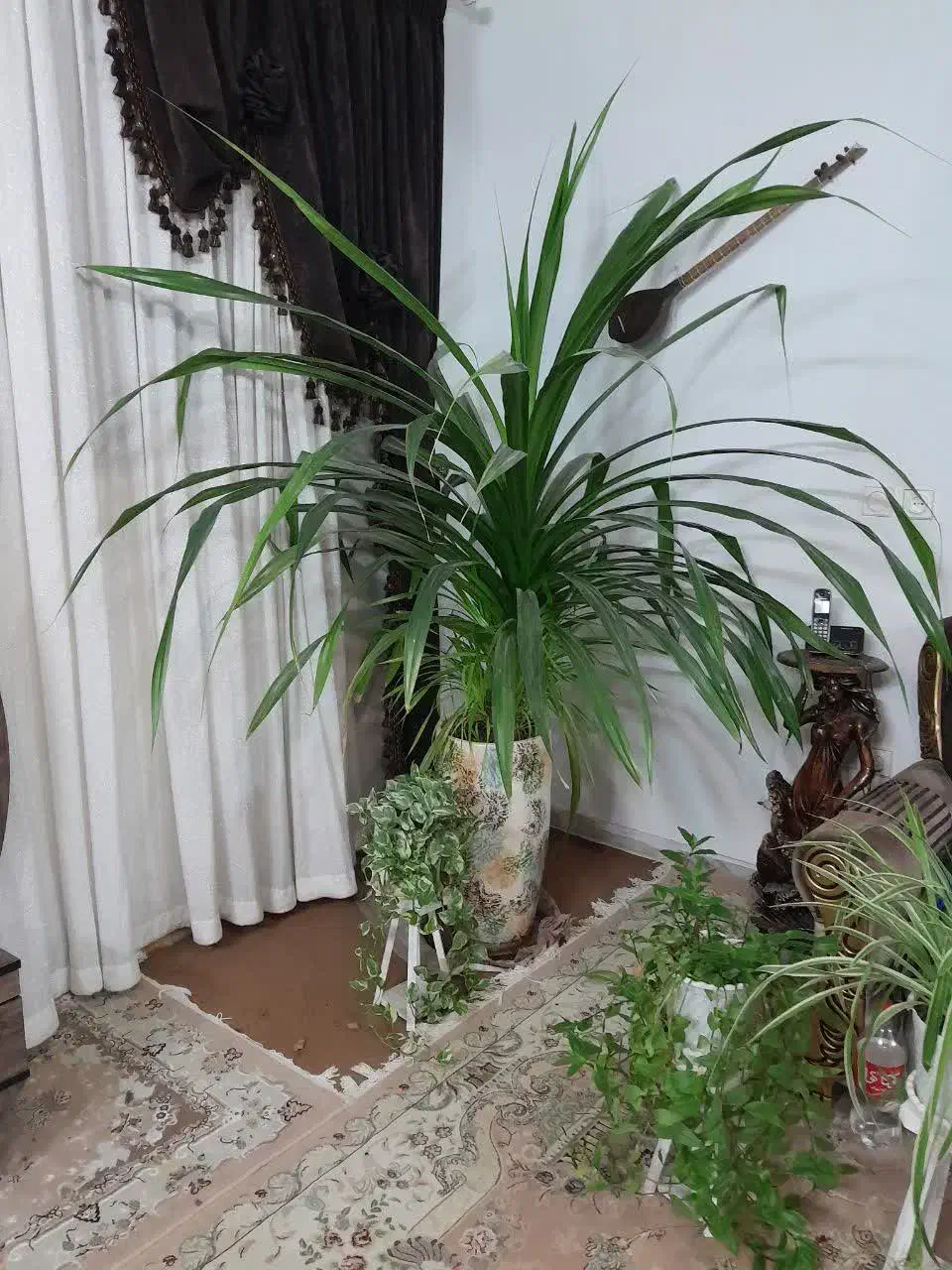 پرده سه تکه پذیرایی|پرده، رانر، رومیزی|تهران, چوب تراش|دیوار