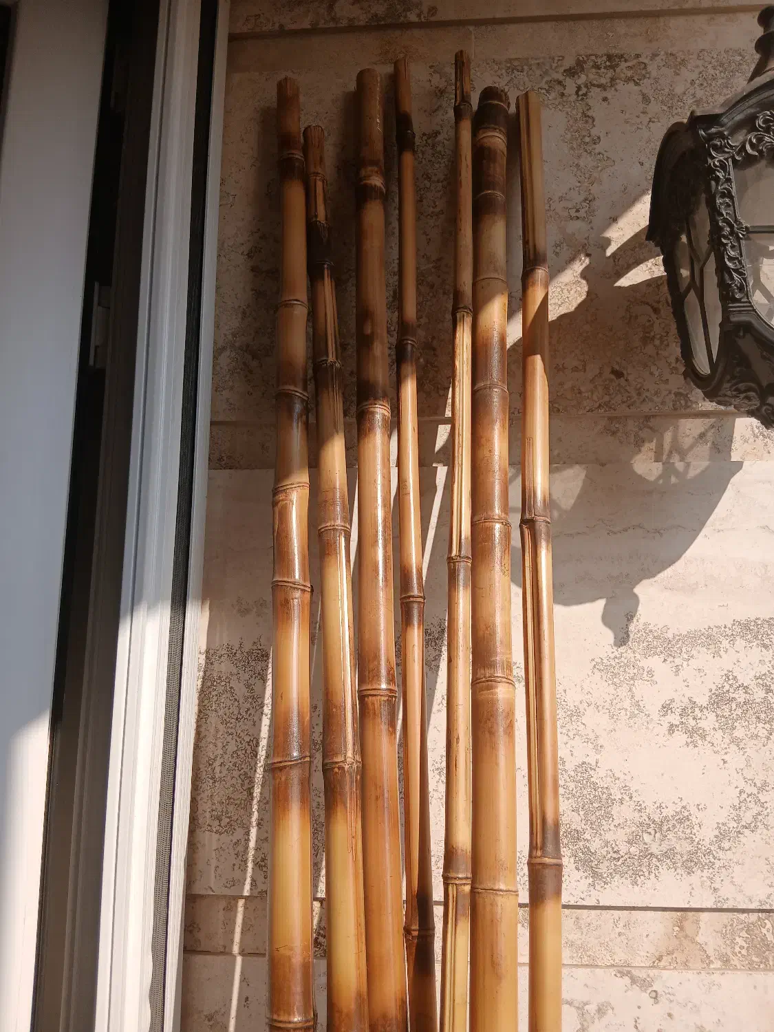 نی بامبو|گل و گیاه طبیعی|رودهن, |دیوار