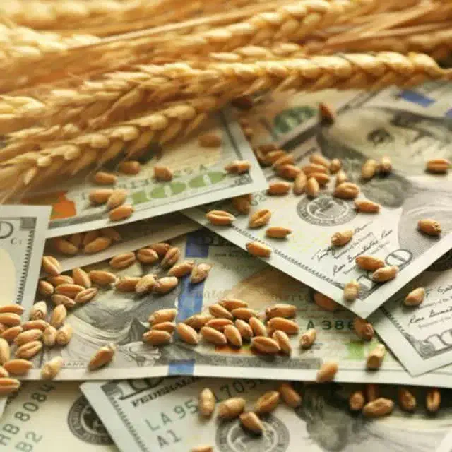 پرداخت قرض‌الحسنه سریع پایا|فعالیت داوطلبانه|قم, حنیف نژاد|دیوار