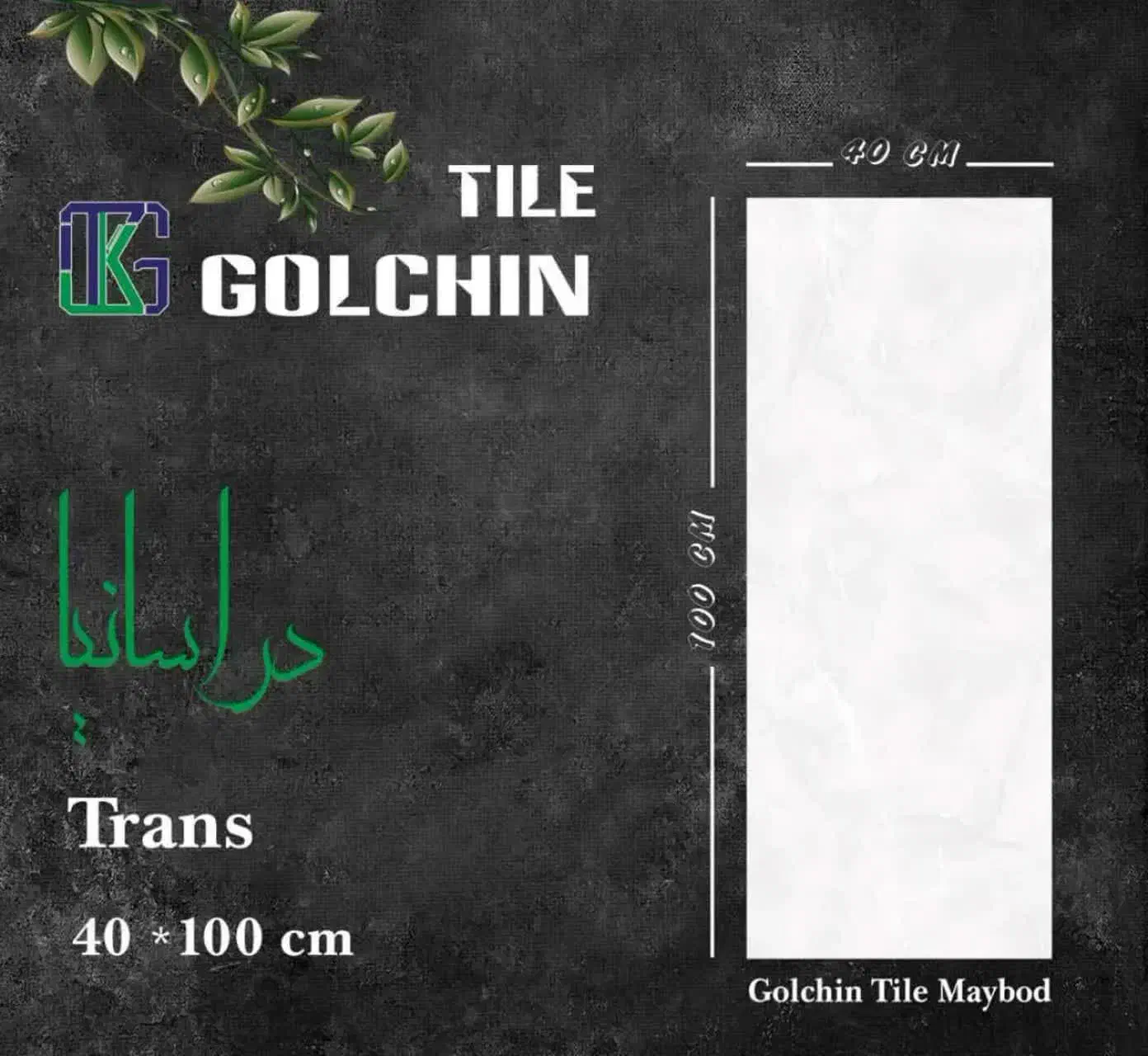 کاشی مدرن کلاسیک|خدمات پیشه و مهارت|شوشتر, |دیوار