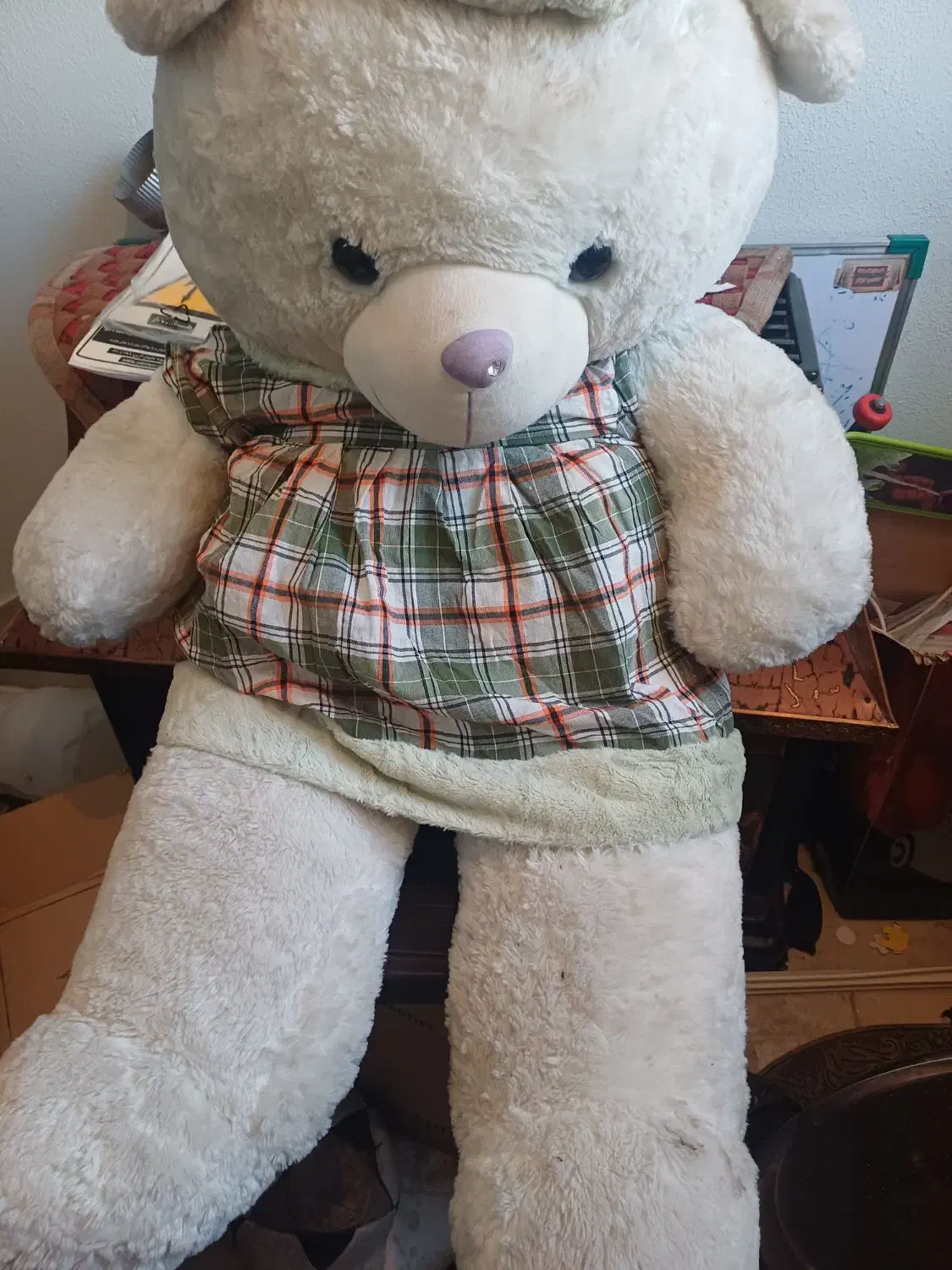 سلام یک عدد نیم بوت ویک کفش راحتی و عروس خرسی بزرگ|کیف، کفش، کمربند|شاهین‌شهر, عطار|دیوار