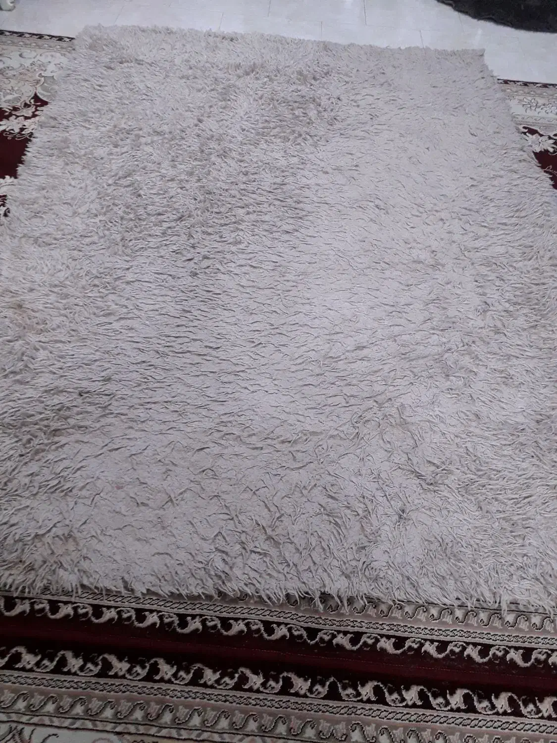 فرش شگی|فرش|رشت, یخسازی|دیوار