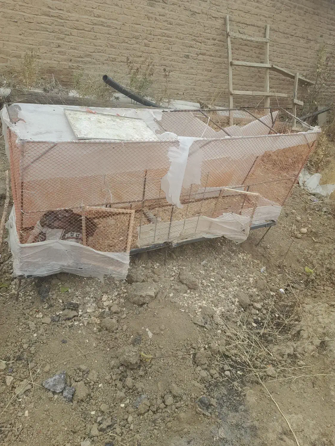 قفس مرغ وجوجه معاوضه|لوازم جانبی حیوانات|قروه, |دیوار