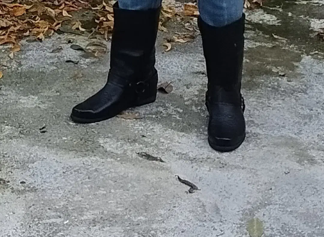 کفش اسب سواری کامل چرم|کیف، کفش، کمربند|محمودآباد, |دیوار