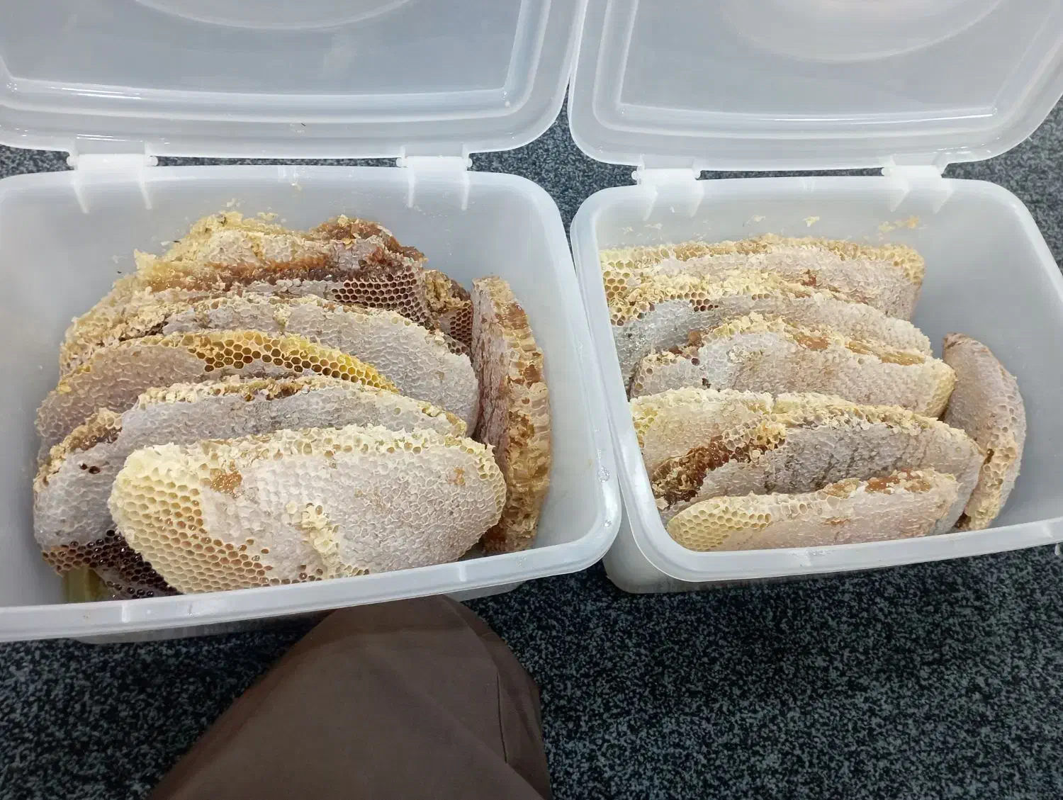 عسل طبیعی کوهستانهای چل چمه|عمده‌فروشی|مریوان, |دیوار