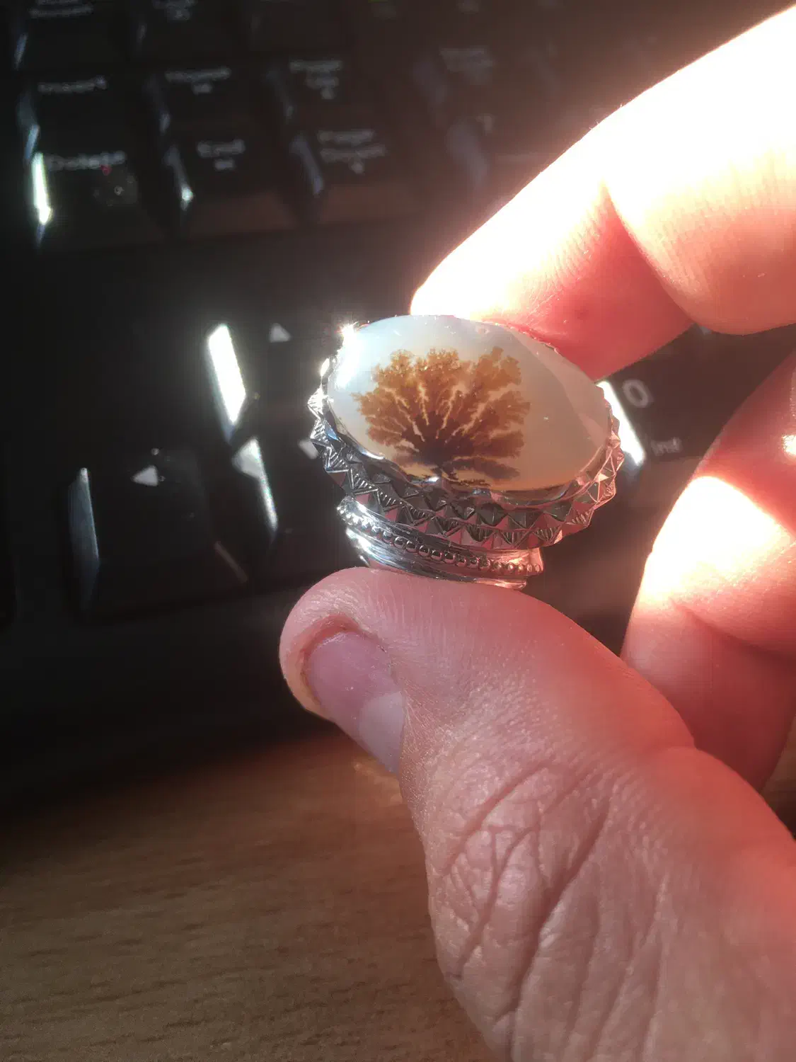 شجر قائنات مافوق کلکسیون|جواهرات|ری, اقدسیه|دیوار