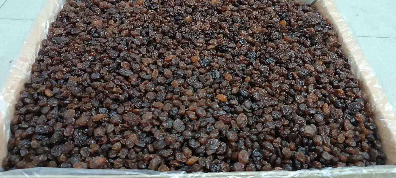 کشمش پلویی با قیمت مناسب|خوردنی و آشامیدنی|آذرشهر, |دیوار