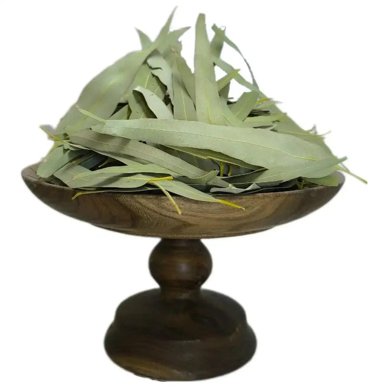 برگ اوکالی توس بسه ای ۵۰.برای سرما خوردگی|گل و گیاه طبیعی|آبپخش, |دیوار