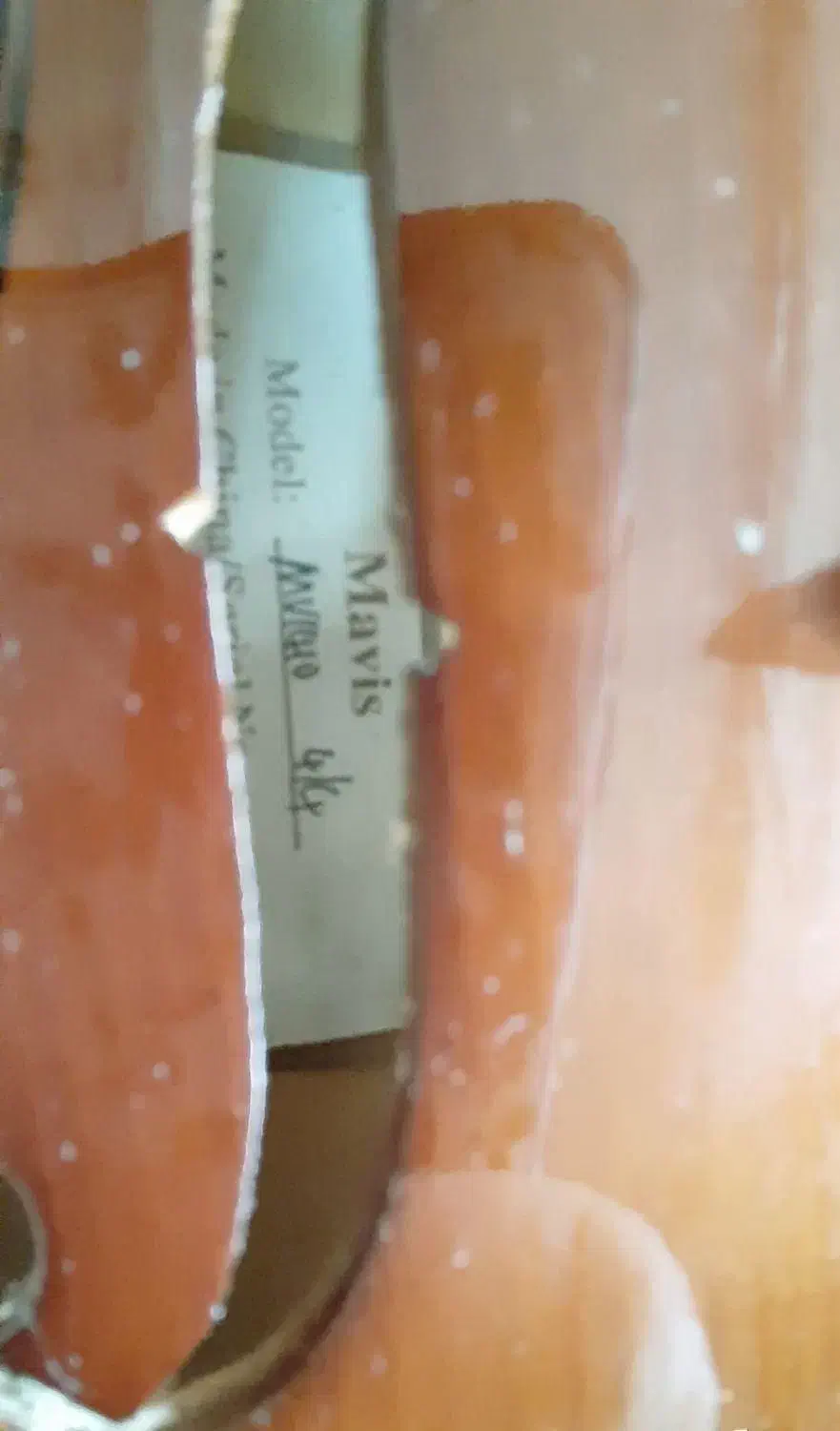 ویلن ماویز|ویولن|تبریز, |دیوار