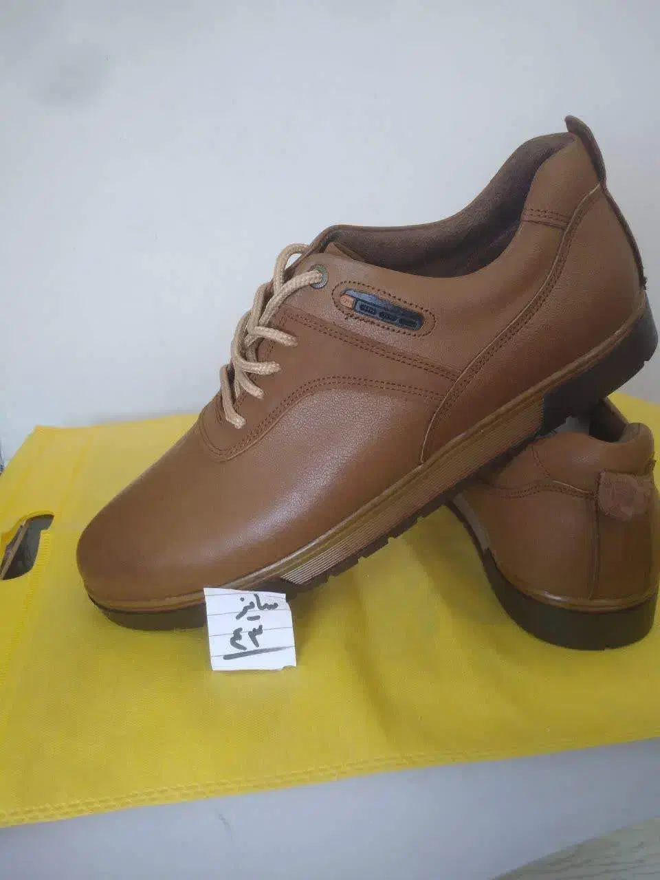 کفش|کیف، کفش، کمربند|فسا, |دیوار