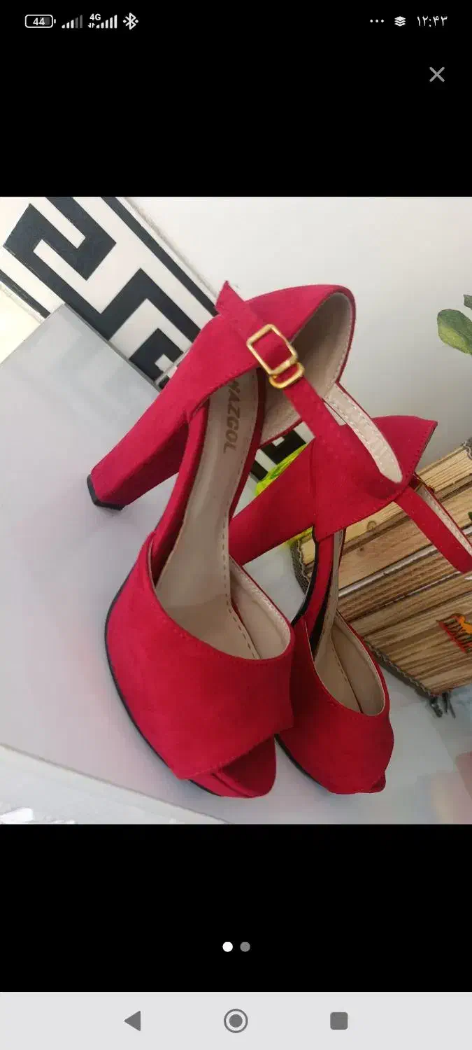 کفش مجلسی|کیف، کفش، کمربند|شاهرود, |دیوار