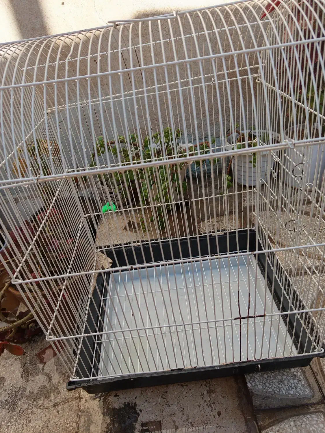 قفس پرنده|لوازم جانبی حیوانات|سبزوار, رضوی|دیوار