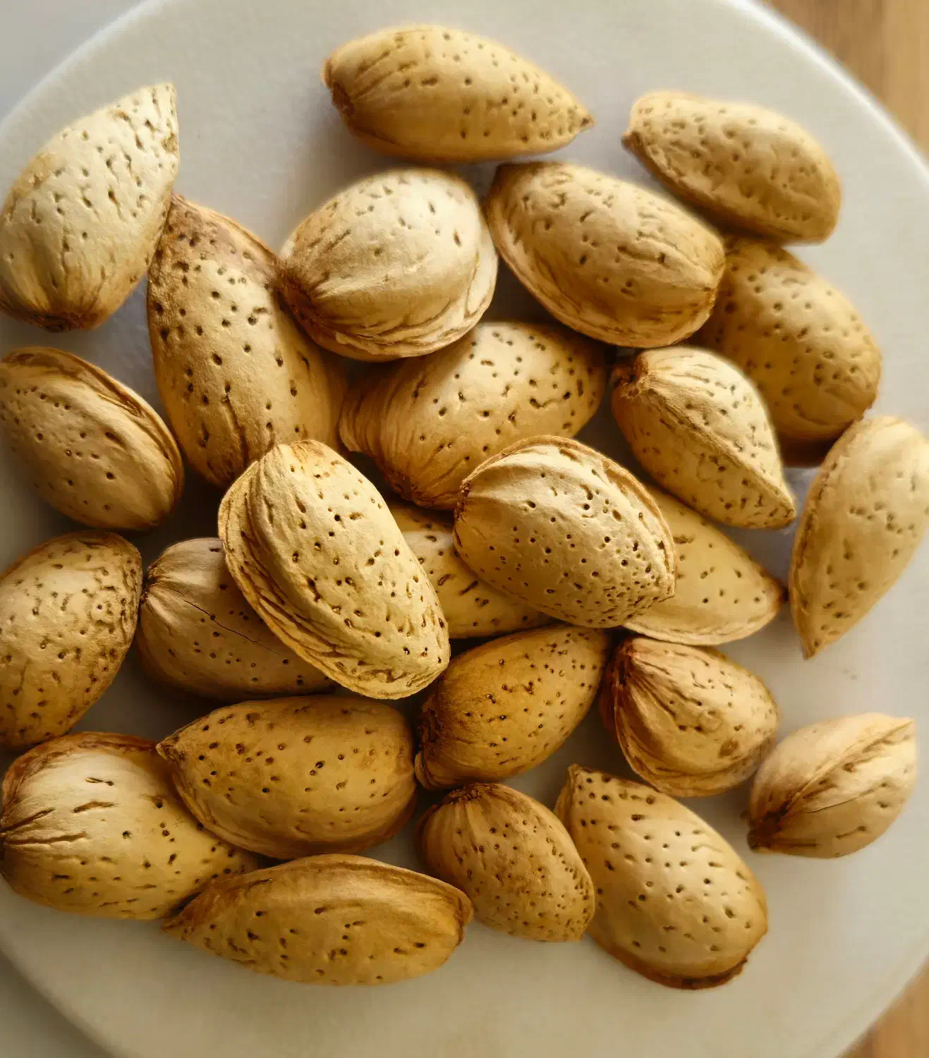 مویز و کشمش|خوردنی و آشامیدنی|شیراز, حومه شیراز|دیوار