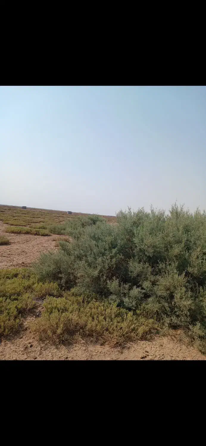 فروش یک قطعه زمین کارگاهی صنعتی|فروش زمین و ملک کلنگی|صوفیان, |دیوار