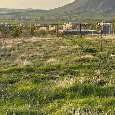 زمین باغ|فروش دفتر صنعتی، کشاورزی، تجاری|بوکان, |دیوار