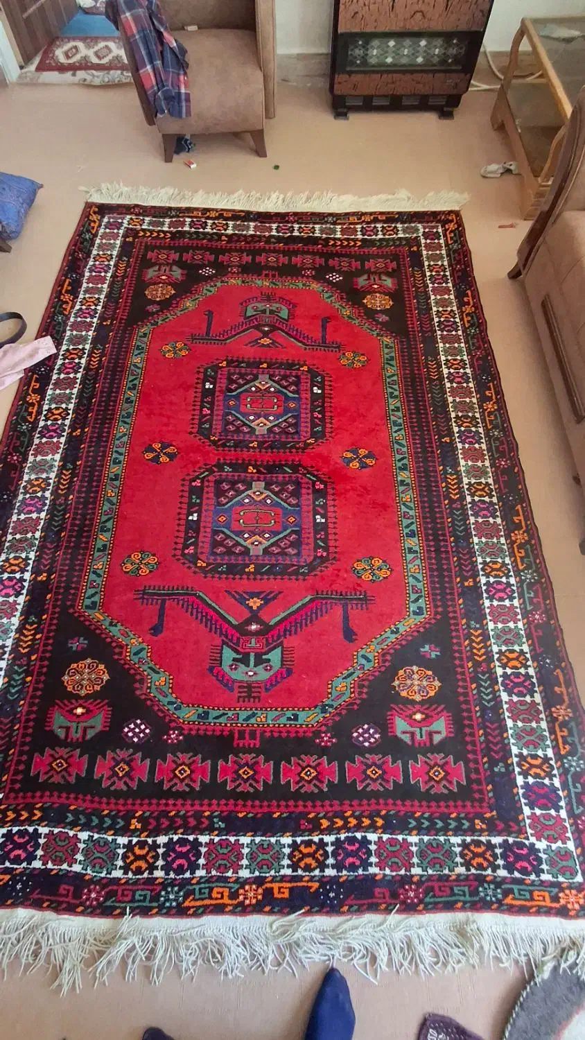 قالی دست بافت|فرش|شیروان (خراسان), |دیوار