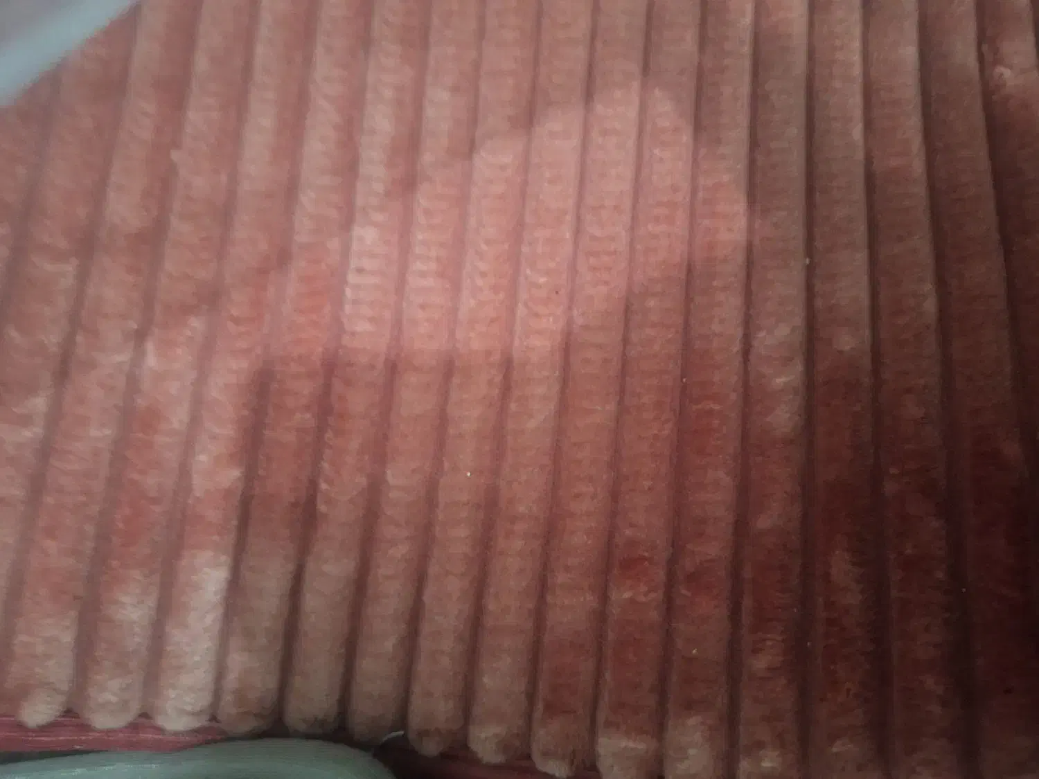 پادری تدی50×80|پادری|قرچک, مهدیه|دیوار