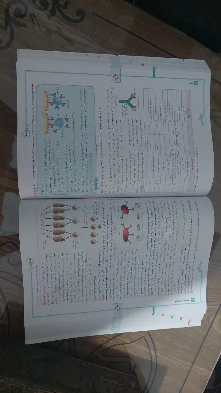 کتاب کنکور پایه یازدهم|کتاب و مجله آموزشی|شیراز, رکن‌آباد|دیوار