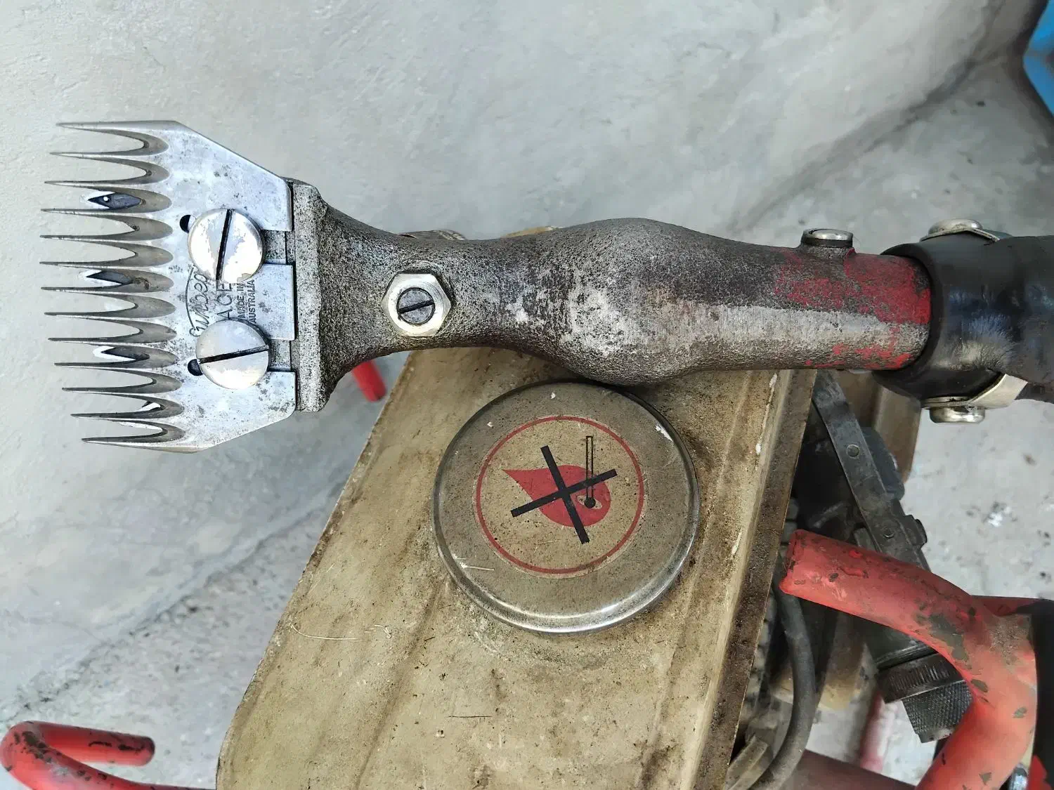 پشم چین بنزینی|لوازم جانبی حیوانات|نورآباد ممسنی, |دیوار