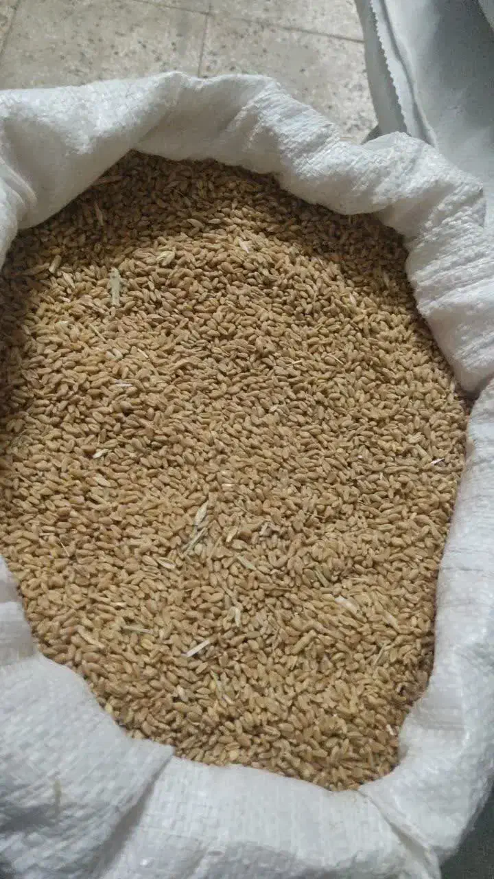 گندم|خوردنی و آشامیدنی|جوین, |دیوار