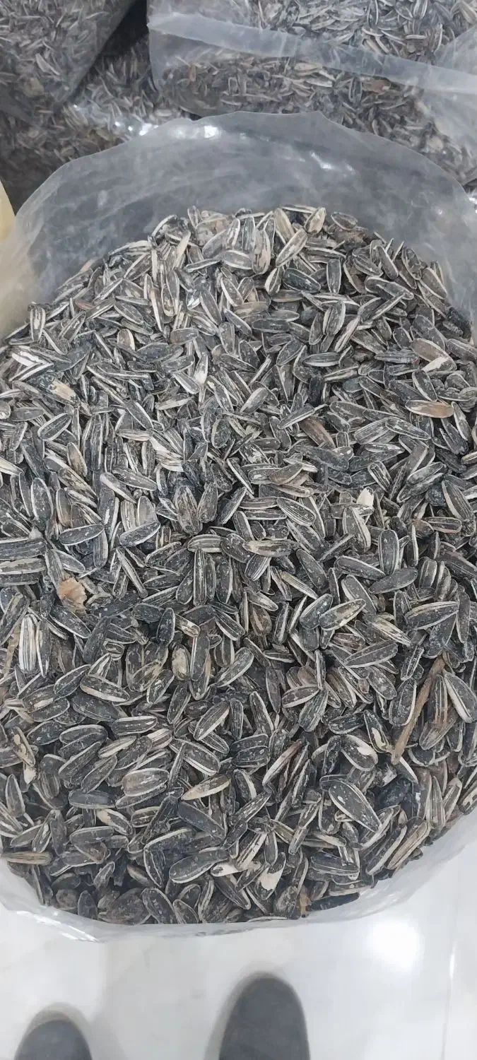 فروش خشک بار|خوردنی و آشامیدنی|رشت, منظریه|دیوار